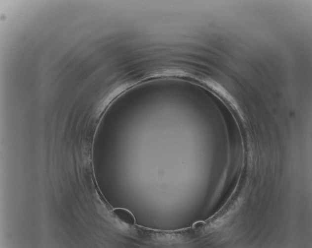 X0000062850945200601201700