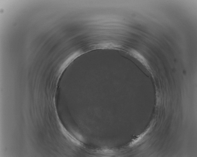 X0000062850946200601201700