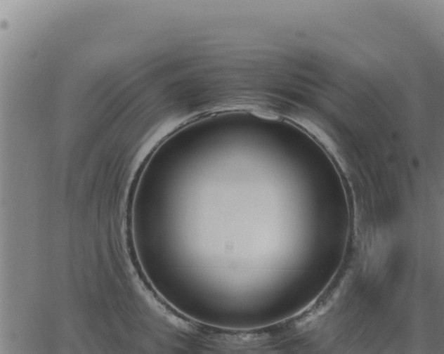 X0000062850949200601201700