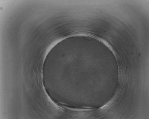 X0000062850951200601201700