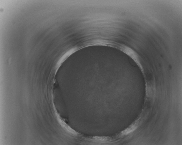 X0000062850954200601201700