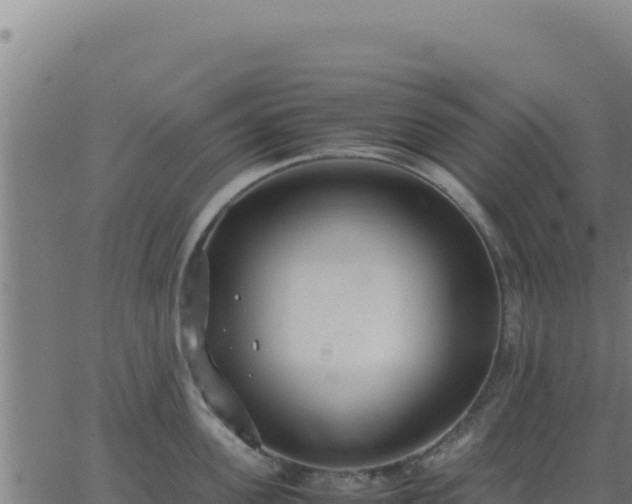 X0000062850955200601201700