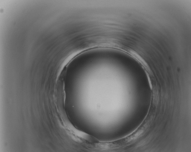 X0000062850956200601201700