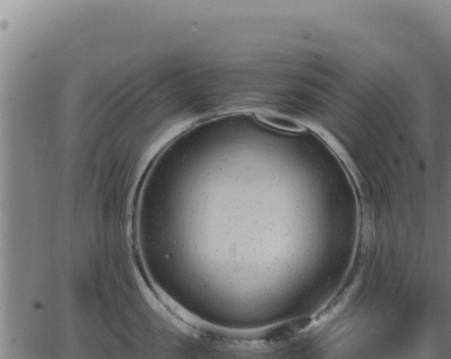 X0000062850957200601201700