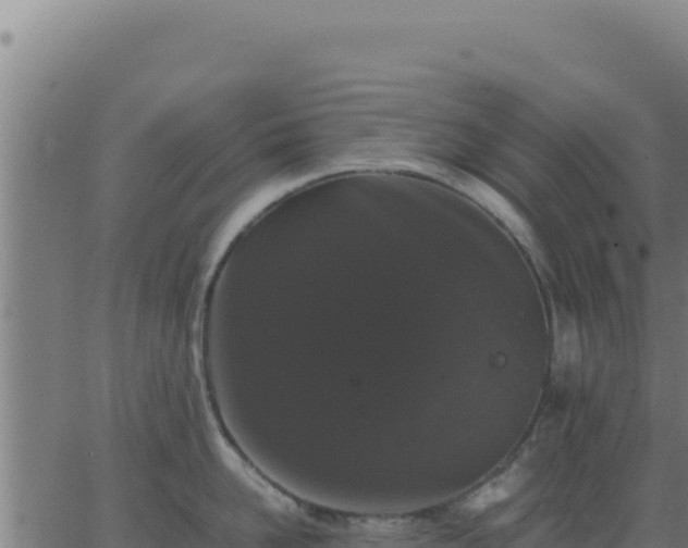 X0000062850958200601201700