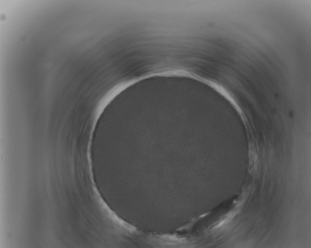 X0000062850959200601201700