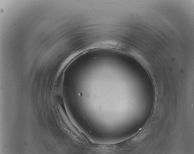 X0000062850960200601201700