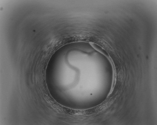 X0000062850961200601201659