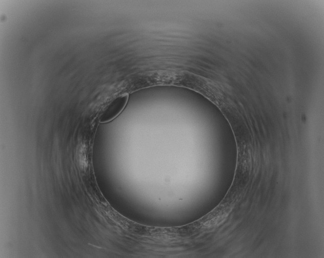 X0000062850962200601201659