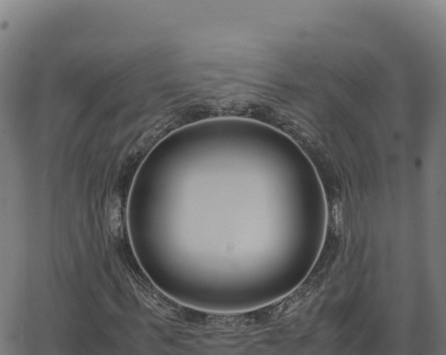 X0000062850963200601201659