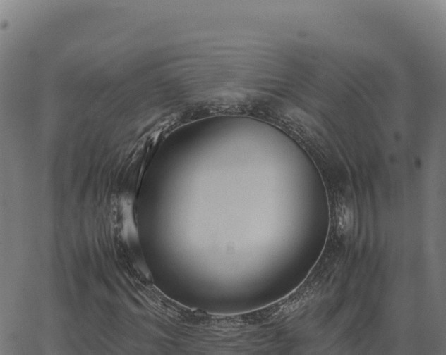 X0000062850964200601201659