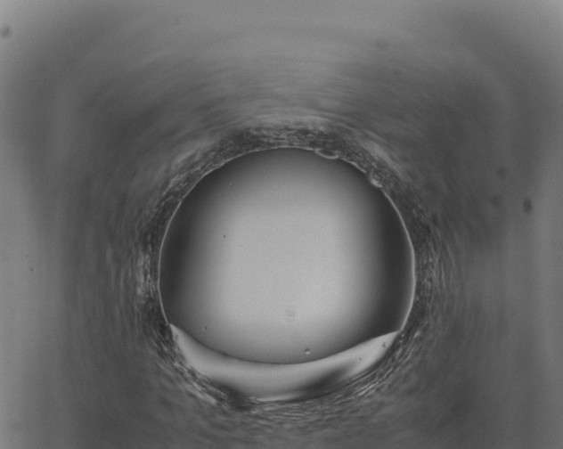 X0000062850965200601201659