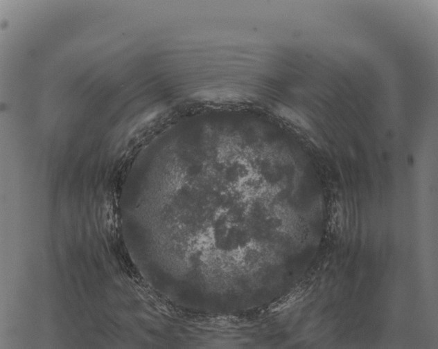 X0000062850966200601201659