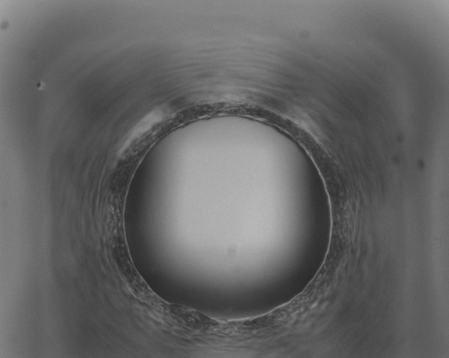 X0000062850967200601201659