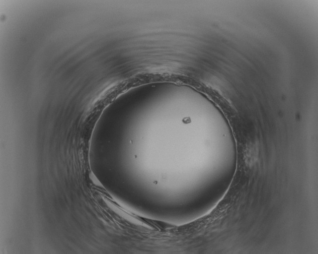 X0000062850968200601201659