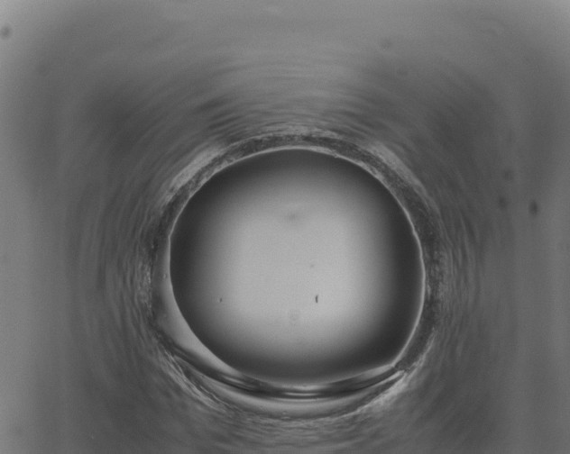 X0000062850969200601201659