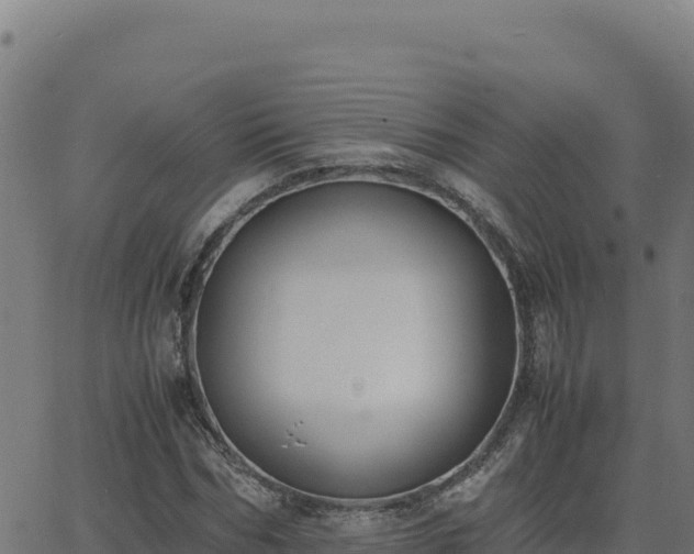 X0000062850970200601201659