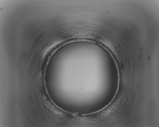 X0000062850971200601201659