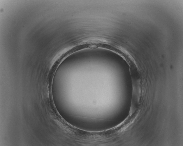 X0000062850973200601201659