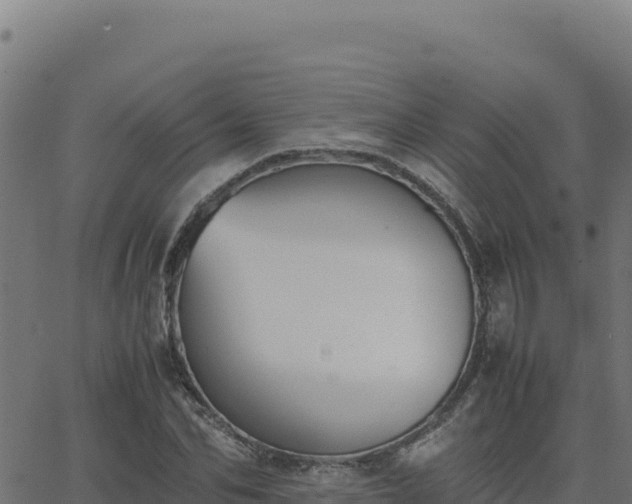 X0000062850974200601201659