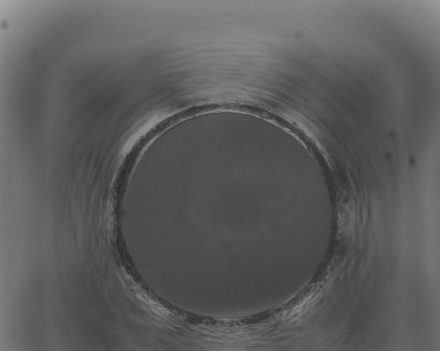 X0000062850975200601201659