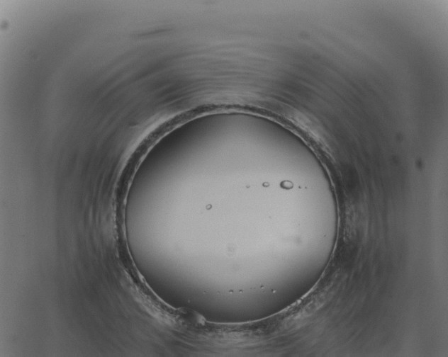 X0000062850976200601201659