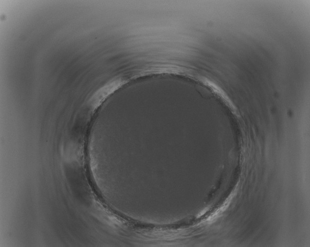 X0000062850977200601201659