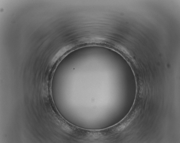 X0000062850978200601201659