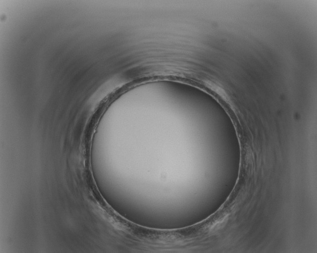 X0000062850979200601201659