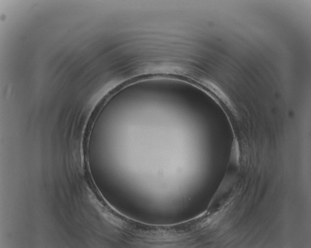 X0000062850980200601201659