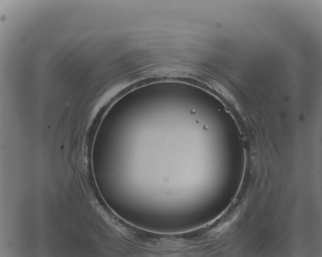 X0000062850981200601201659