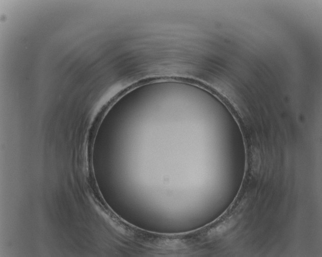 X0000062850982200601201659