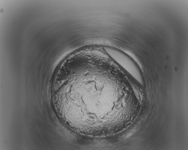 X0000062850983200601201659