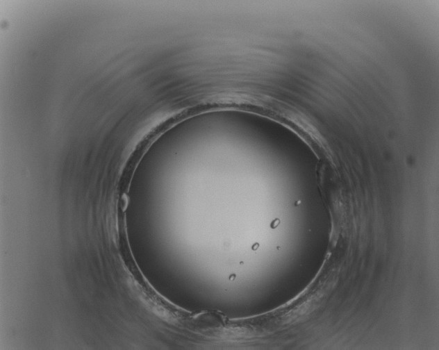 X0000062850984200601201659