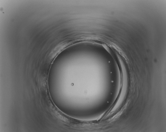 X0000062850985200601201659