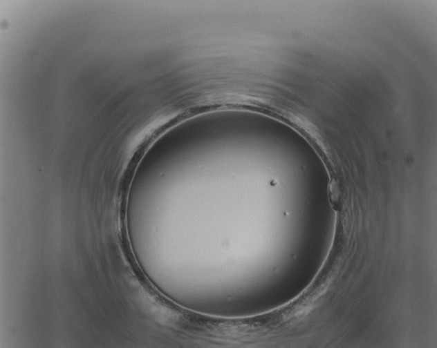 X0000062850987200601201659