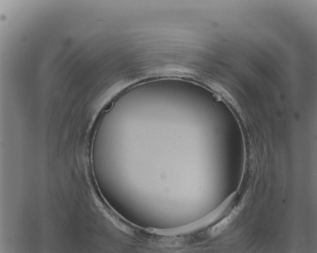 X0000062850989200601201659