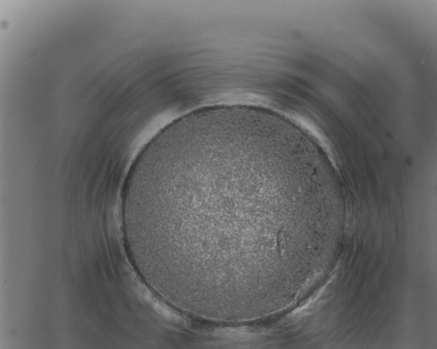 X0000062850990200601201659