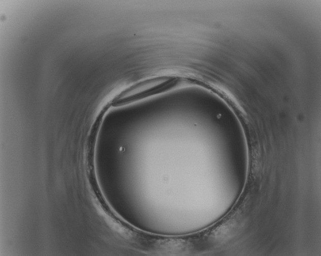 X0000062850991200601201659