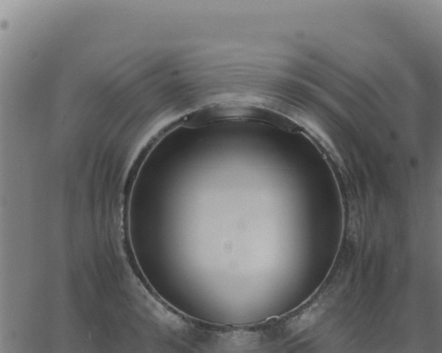 X0000062850992200601201659