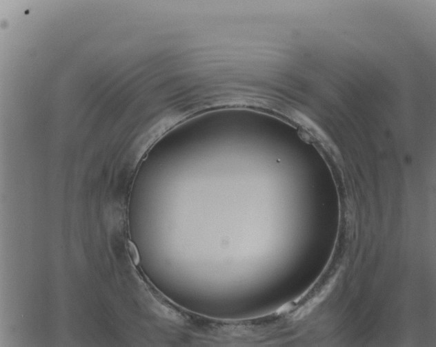 X0000062850993200601201659