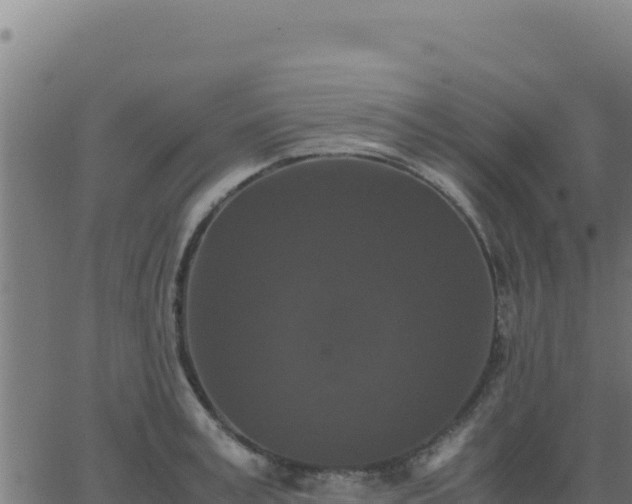 X0000062850995200601201659