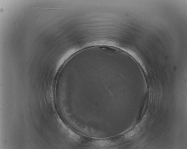 X0000062850998200601201658