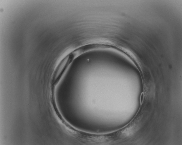 X0000062850999200601201658