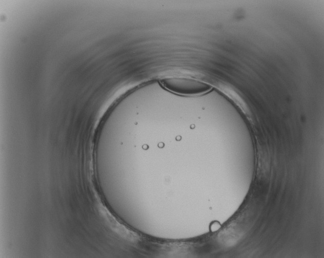 X0000062851000200601201658