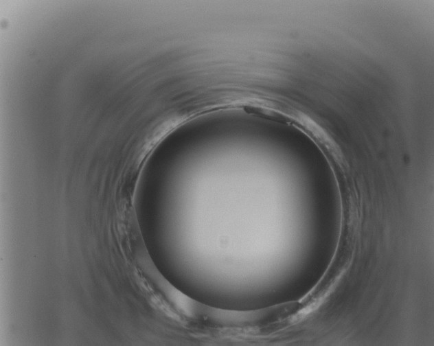 X0000062851001200601201658