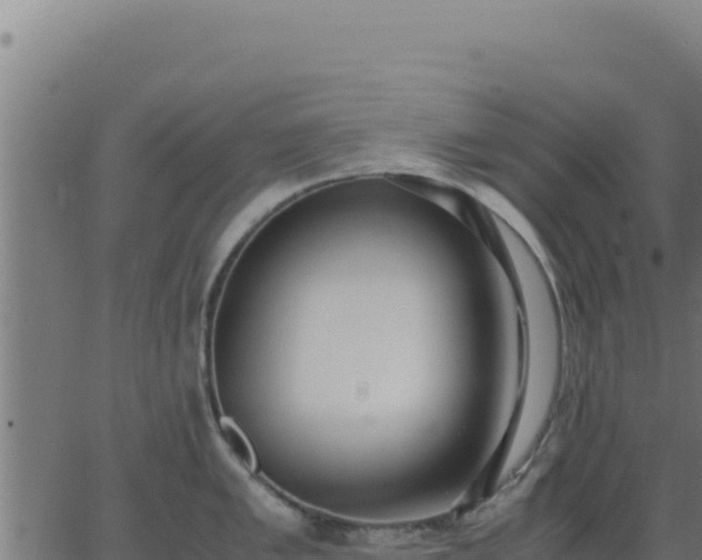 X0000062851005200601201658