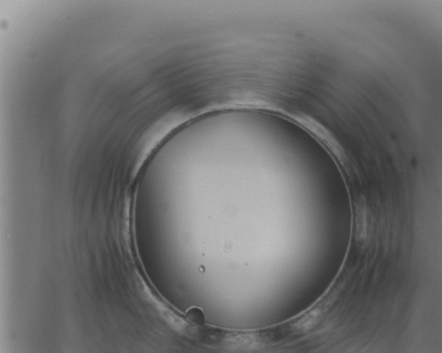 X0000062851006200601201658