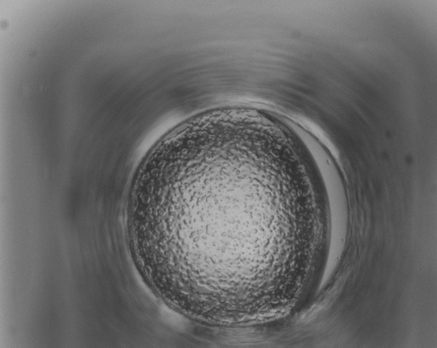 X0000062851007200601201658