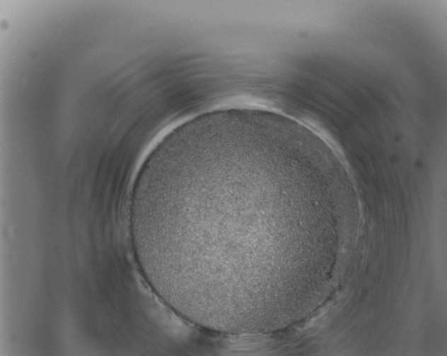 X0000062851008200601201658